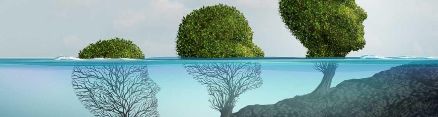 psychology psychology
