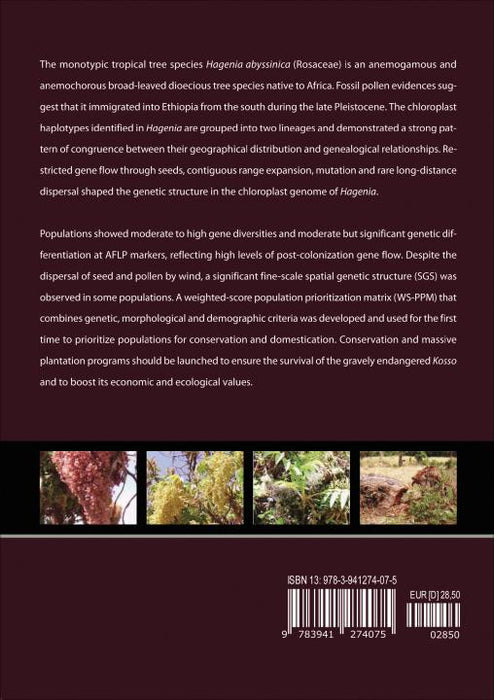 Colonization History, Phylogeography and Conservation Genetics of the Gravely Endangered Tree Species Hagenia abyssinica (Bruce) J.F. Gmel from Ethiopia SIEVERSMEDIEN Colonization History, Phylogeography and Conservation Genetics of the Gravely Endangered Tree Species Hagenia abyssinica (Bruce) J.F. Gmel from Ethiopia SIEVERSMEDIEN