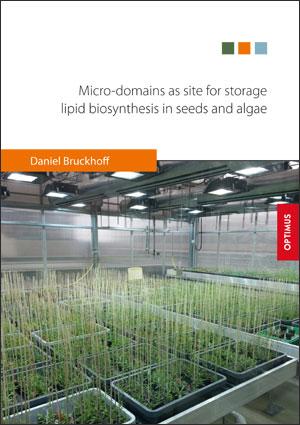 Micro-domains as site for storage lipid biosynthesis in seeds and algae SIEVERSMEDIEN Micro-domains as site for storage lipid biosynthesis in seeds and algae SIEVERSMEDIEN