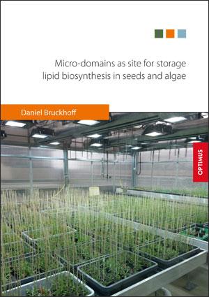 Micro-domains as site for storage lipid biosynthesis in seeds and algae SIEVERSMEDIEN