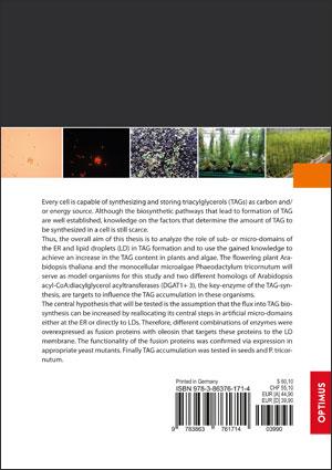 Micro-domains as site for storage lipid biosynthesis in seeds and algae SIEVERSMEDIEN