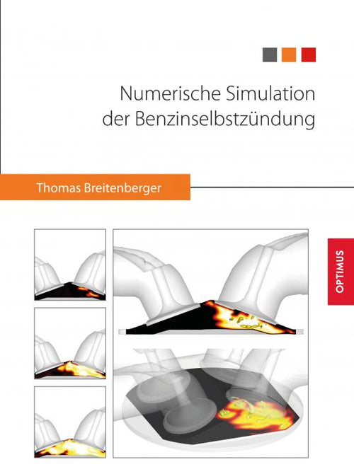 Numerische Simulation der Benzinselbstzündung SIEVERSMEDIEN